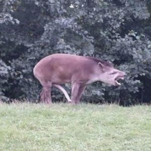 Meet your Posher, Mathew